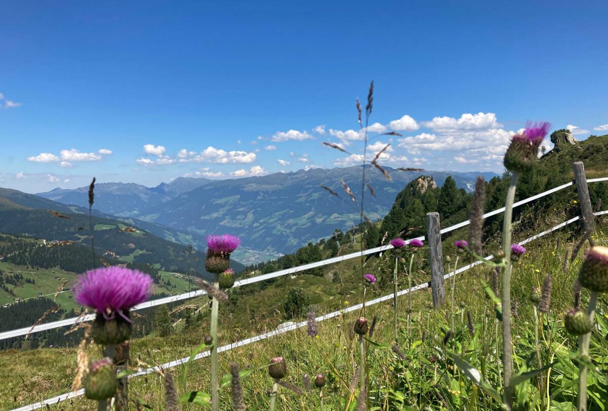 Mayrhofen
