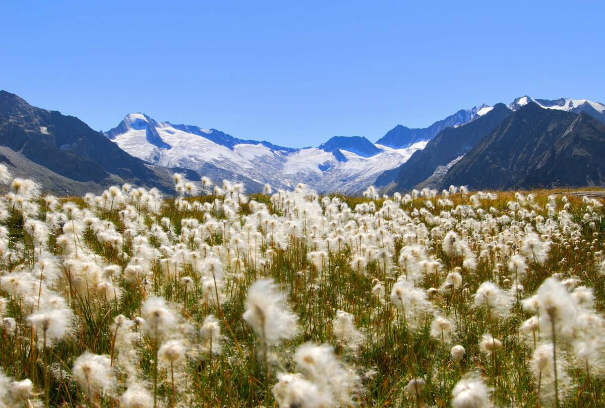 Mayrhofen