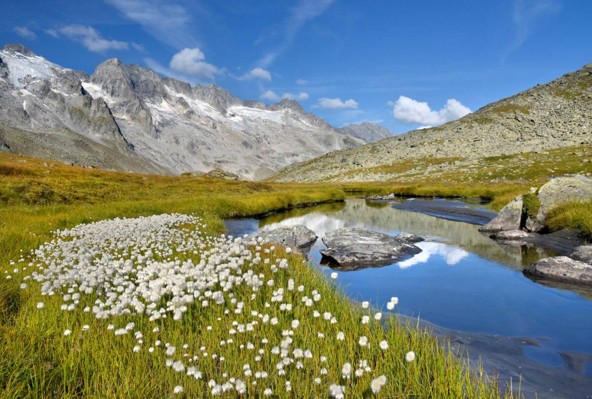 Mayrhofen
